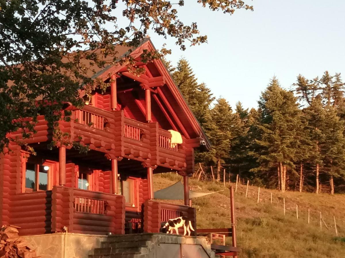 Katafygio Chalet, Krikello Kríkellon Exteriér fotografie